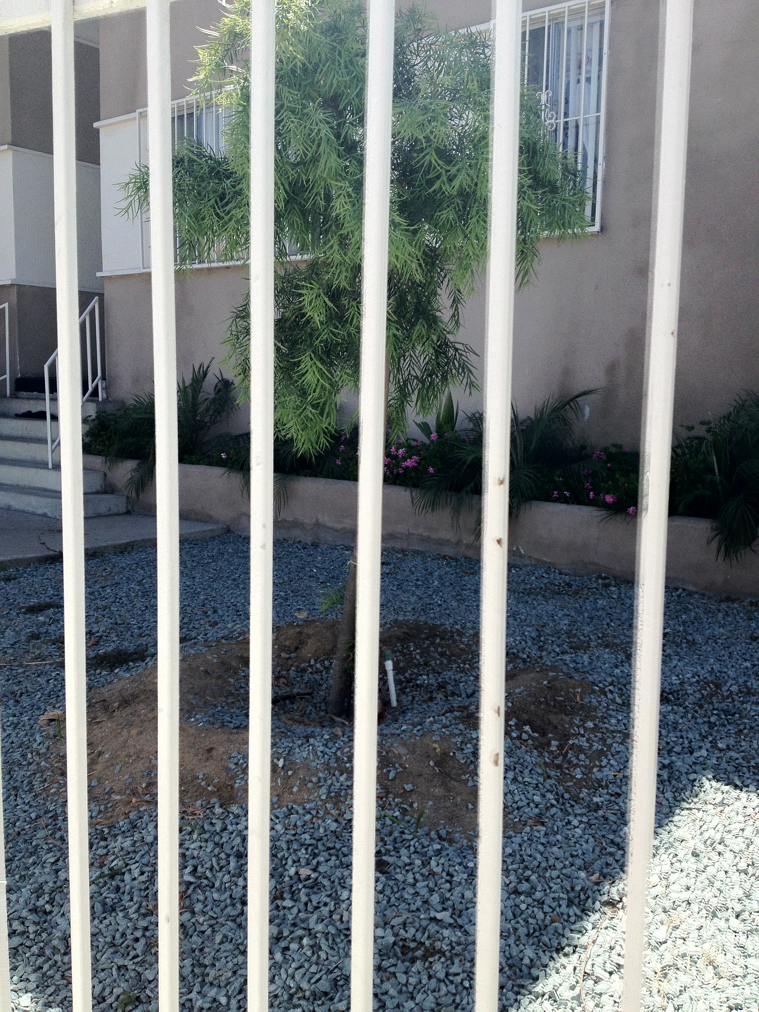 A lot of bars on doors and windows in City Heights