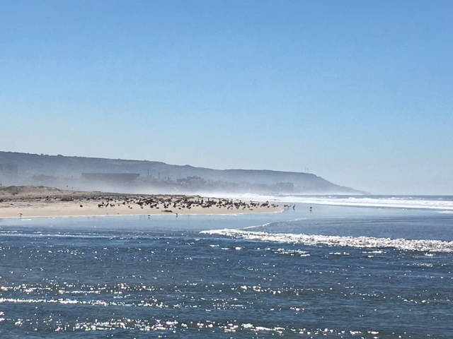 Imperial Beach with the U.S./Mexican border in the distance